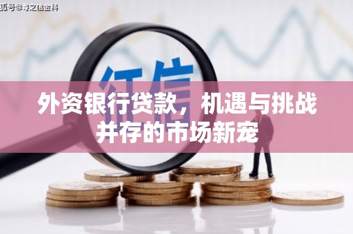 沁源外资银行贷款，机遇与挑战并存的市场新宠