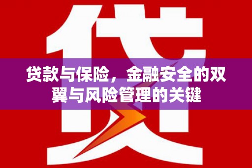 沁源贷款与保险，金融安全的双翼与风险管理的关键