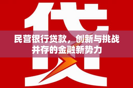沁源民营银行贷款，创新与挑战并存的金融新势力