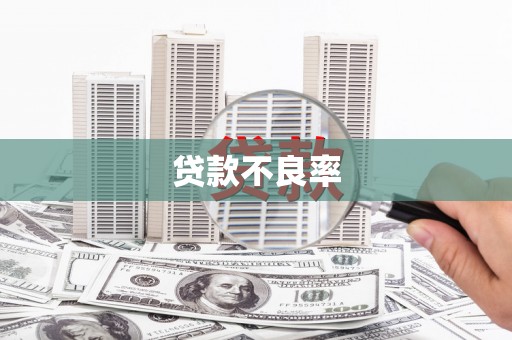沁源贷款不良率