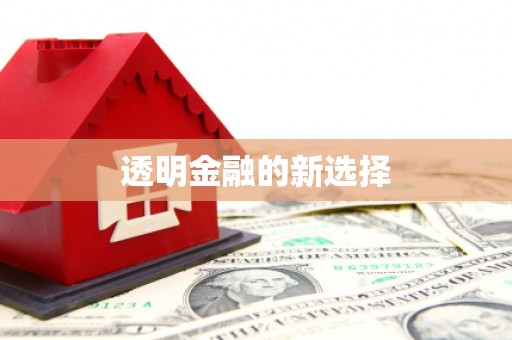 沁源透明金融的新选择