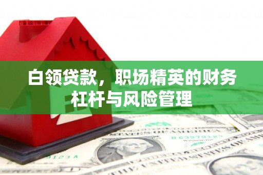 沁源白领贷款，职场精英的财务杠杆与风险管理