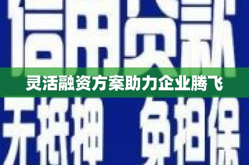 沁源灵活融资方案助力企业腾飞