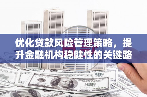 沁源优化贷款风险管理策略，提升金融机构稳健性的关键路径
