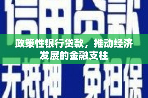 沁源政策性银行贷款，推动经济发展的金融支柱