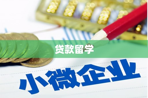 沁源贷款留学