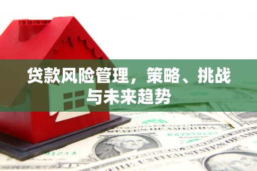 沁源贷款风险管理，策略、挑战与未来趋势