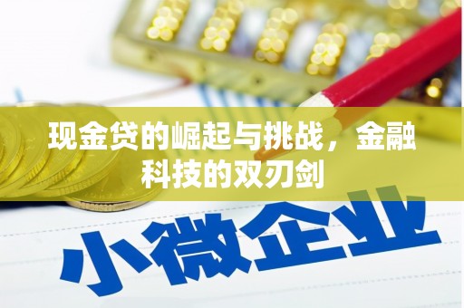 沁源现金贷的崛起与挑战，金融科技的双刃剑