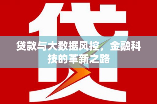 沁源贷款与大数据风控，金融科技的革新之路