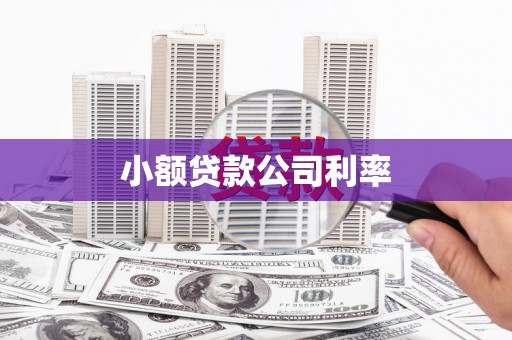 沁源小额贷款公司利率