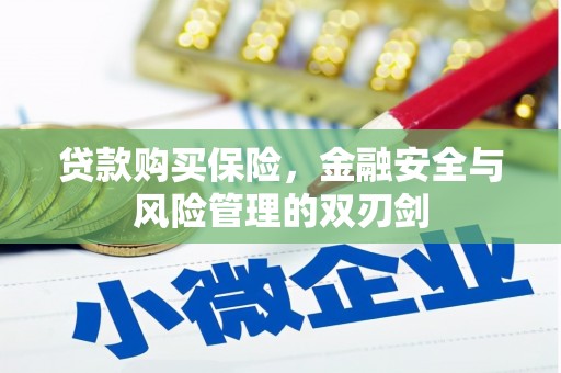 沁源贷款购买保险，金融安全与风险管理的双刃剑