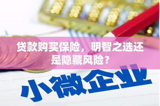 沁源贷款购买保险，明智之选还是隐藏风险？