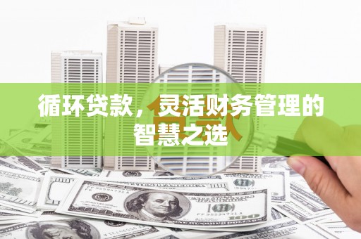 沁源循环贷款，灵活财务管理的智慧之选