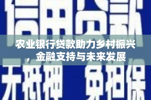 沁源农业银行贷款助力乡村振兴，金融支持与未来发展