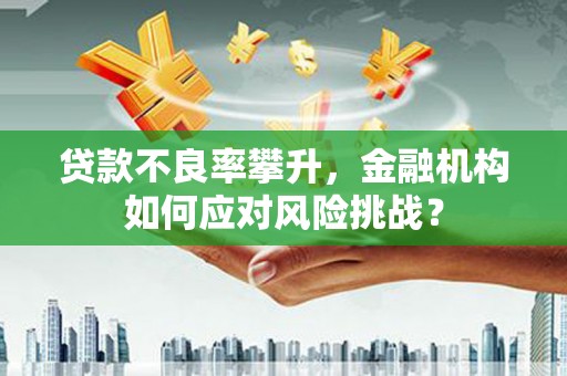 沁源贷款不良率攀升，金融机构如何应对风险挑战？