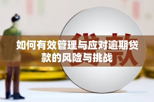 沁源如何有效管理与应对逾期贷款的风险与挑战