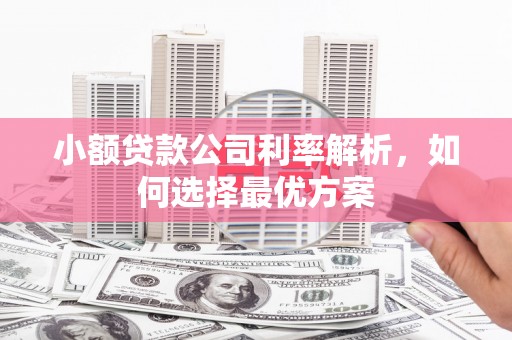 沁源小额贷款公司利率解析，如何选择最优方案