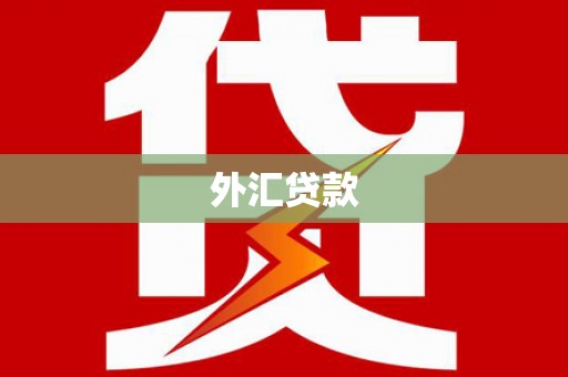 沁源外汇贷款