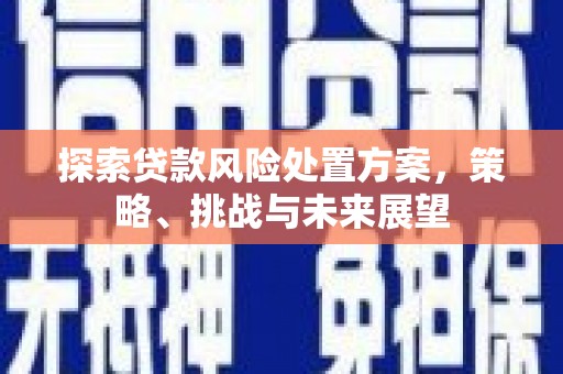 沁源探索贷款风险处置方案，策略、挑战与未来展望