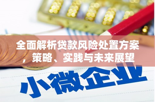 沁源全面解析贷款风险处置方案，策略、实践与未来展望