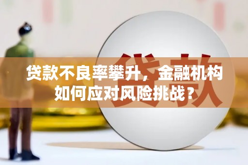 沁源贷款不良率攀升，金融机构如何应对风险挑战？