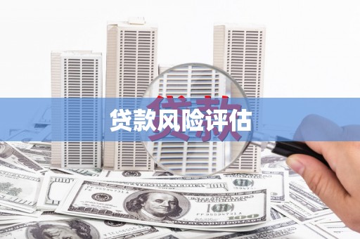 沁源贷款风险评估