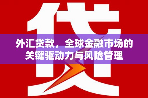 沁源外汇贷款，全球金融市场的关键驱动力与风险管理