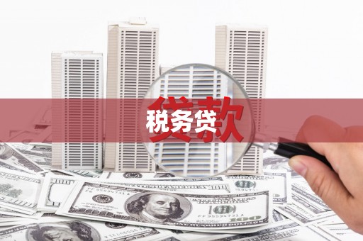 沁源税务贷
