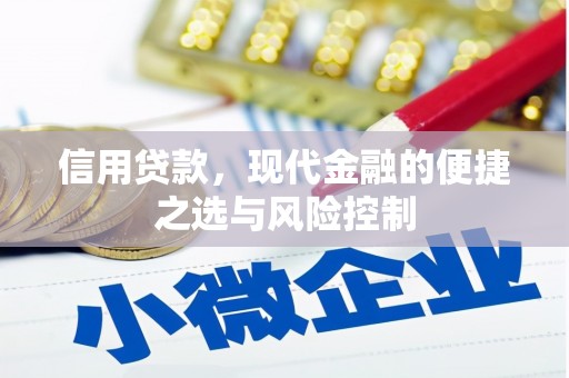 沁源信用贷款，现代金融的便捷之选与风险控制