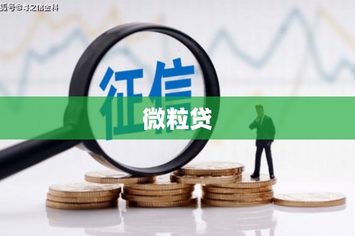 沁源微粒贷