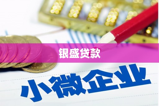 沁源银盛贷款