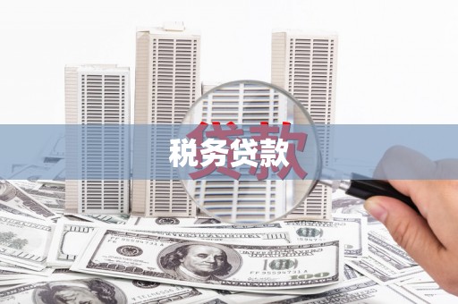 沁源税务贷款