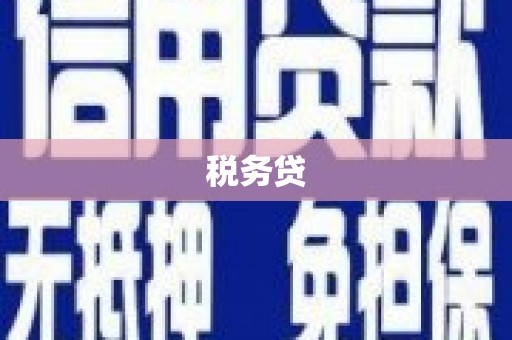 沁源税务贷