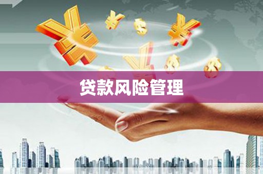 沁源贷款风险管理