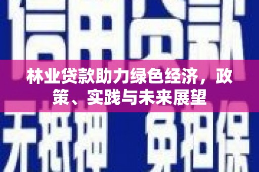 沁源林业贷款助力绿色经济，政策、实践与未来展望