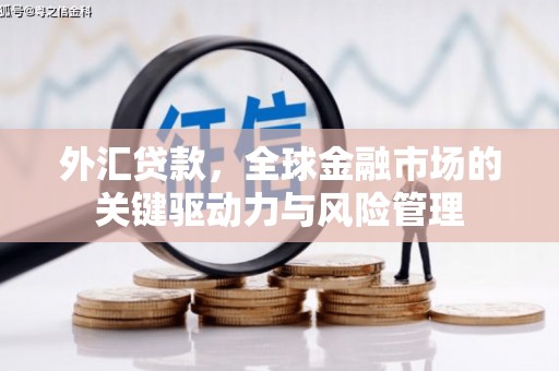 沁源外汇贷款，全球金融市场的关键驱动力与风险管理