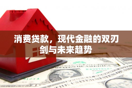 沁源消费贷款，现代金融的双刃剑与未来趋势
