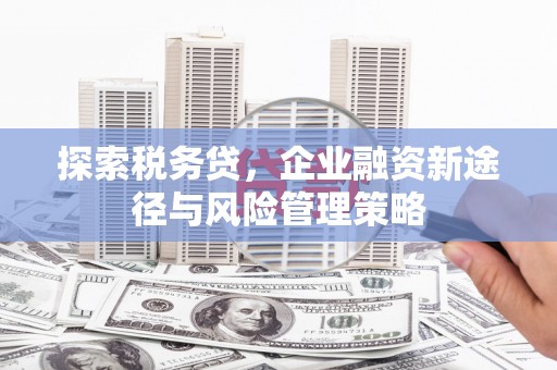 沁源探索税务贷，企业融资新途径与风险管理策略