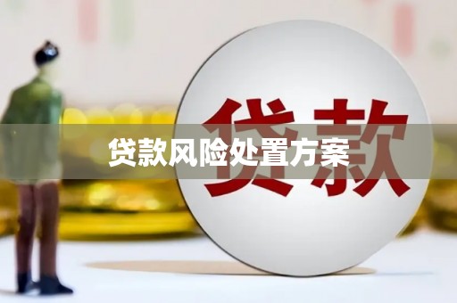 沁源贷款风险处置方案