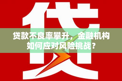沁源贷款不良率攀升，金融机构如何应对风险挑战？