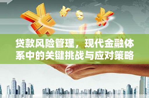 沁源贷款风险管理，现代金融体系中的关键挑战与应对策略