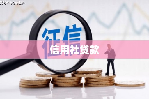 沁源信用社贷款