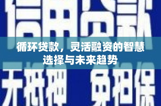 沁源循环贷款，灵活融资的智慧选择与未来趋势