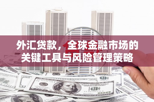 沁源外汇贷款，全球金融市场的关键工具与风险管理策略