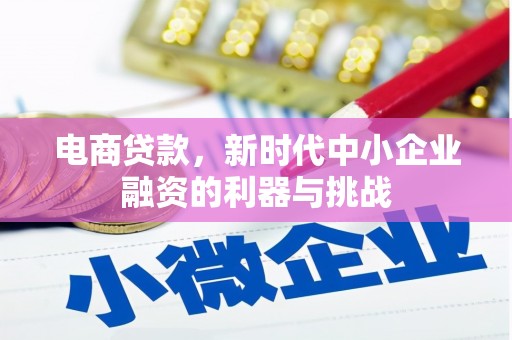 沁源电商贷款，新时代中小企业融资的利器与挑战