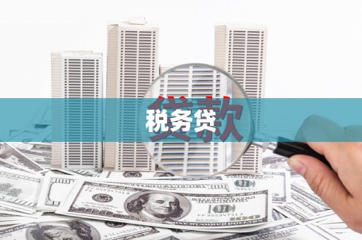 沁源税务贷