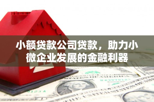 沁源小额贷款公司贷款，助力小微企业发展的金融利器