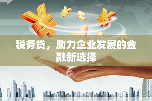 沁源税务贷，助力企业发展的金融新选择