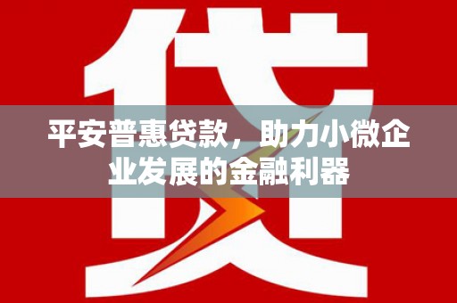 沁源平安普惠贷款，助力小微企业发展的金融利器