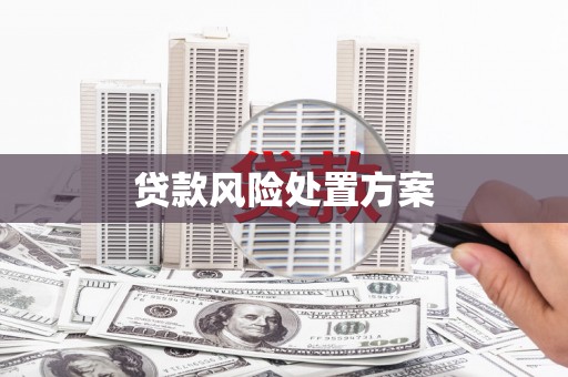 沁源贷款风险处置方案
